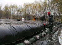 Dewatering bags