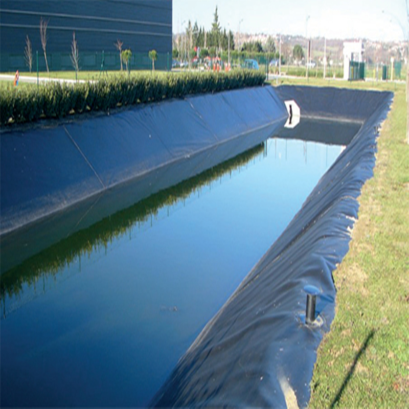 Geomembrane