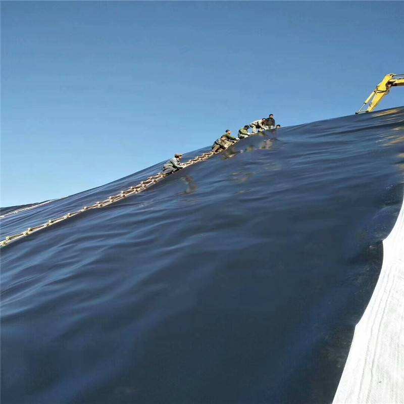 PVC Geomembrane
