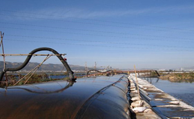 Dewatering bags