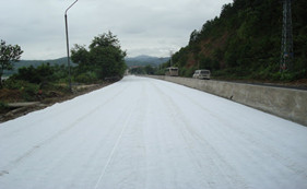 Composite geomembrane construction