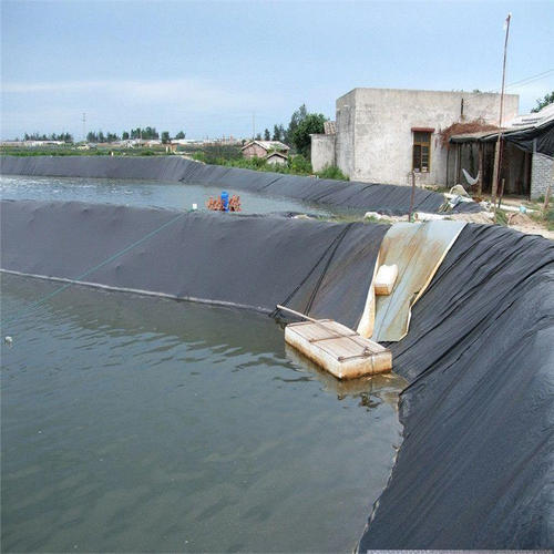 Geomembrane