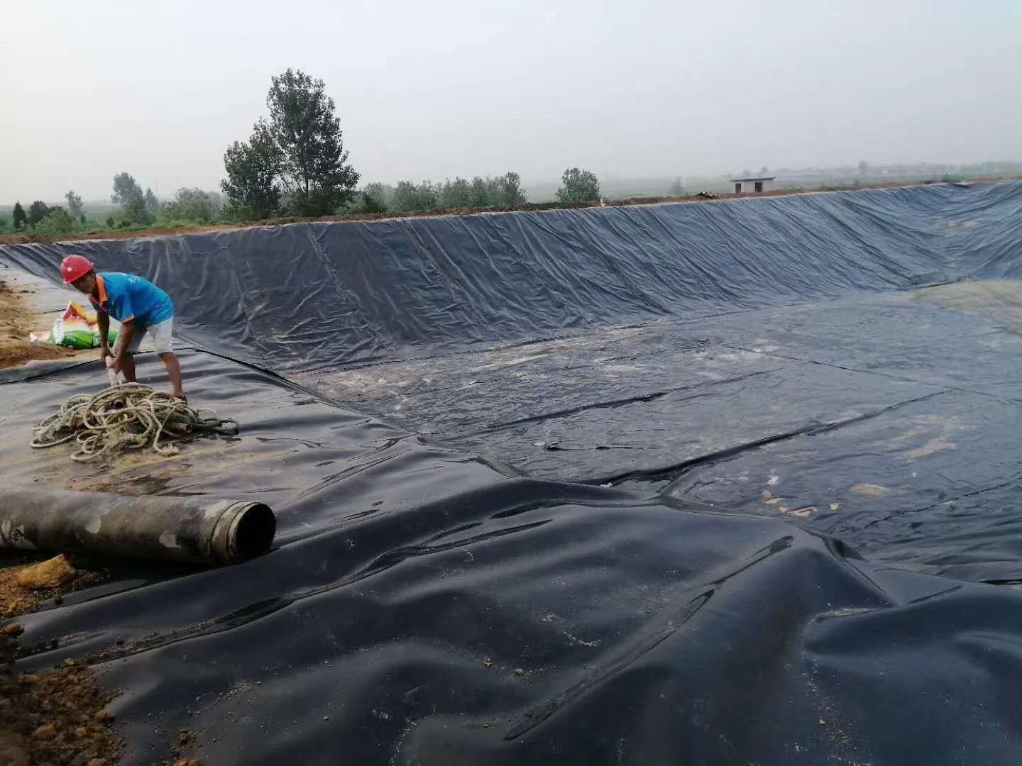 geomembrane